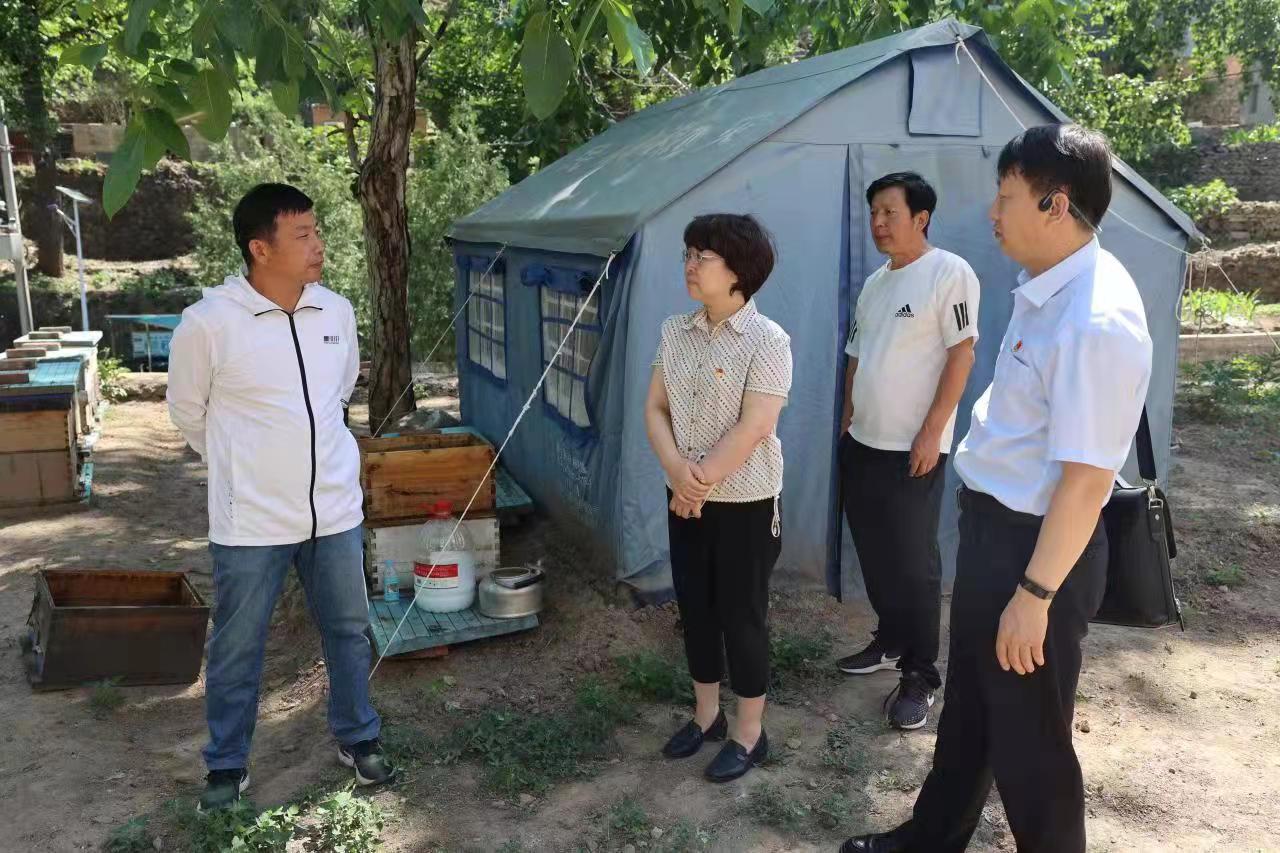 亚星yaxin能源党委副书记、工会主席郝红霞一行到黄安村调研_亚星yaxin