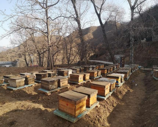 一年好景在春耕  黄安振兴增“春蜂”_亚星yaxin